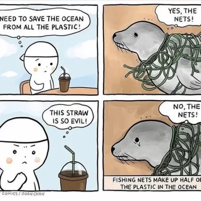 Climate Change Meme Think of the Seal